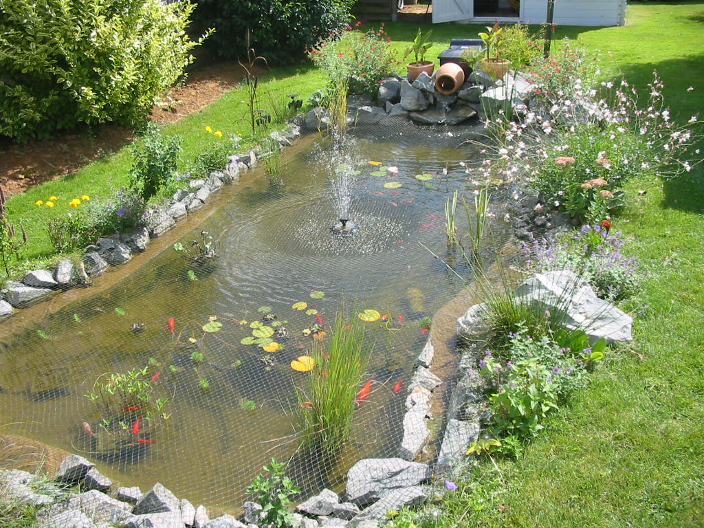 construire un bassin poisson au jardin, photo bassin de jardin